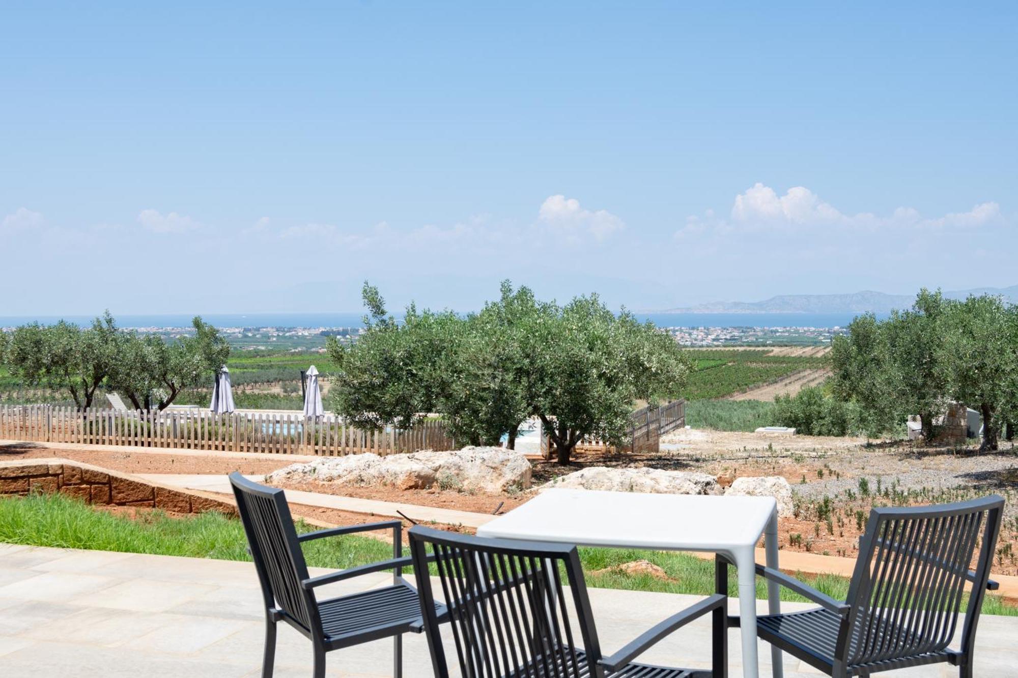The Olive Hill Βίλα Ássos Εξωτερικό φωτογραφία